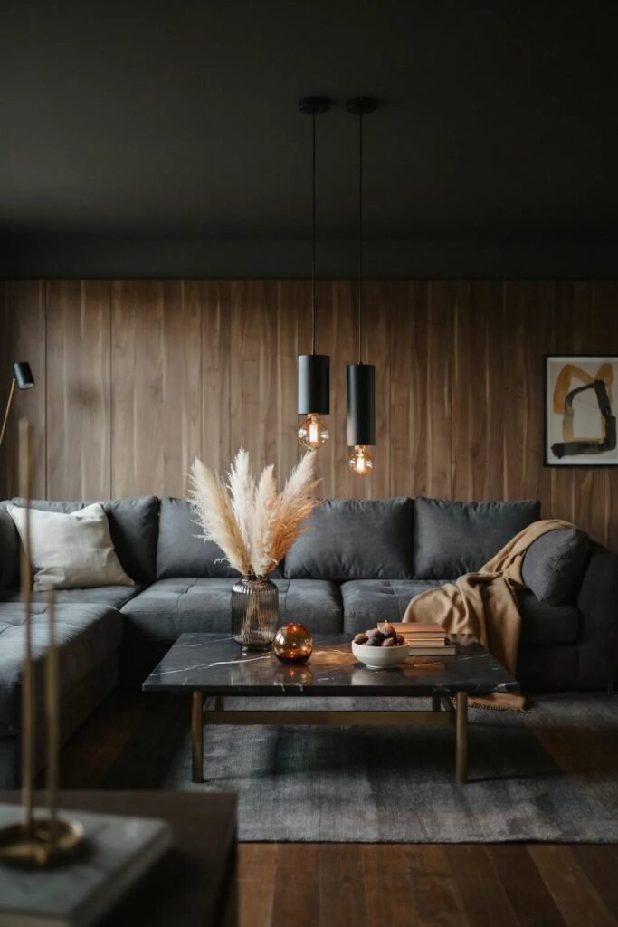 Charcoal living room couches design ideas